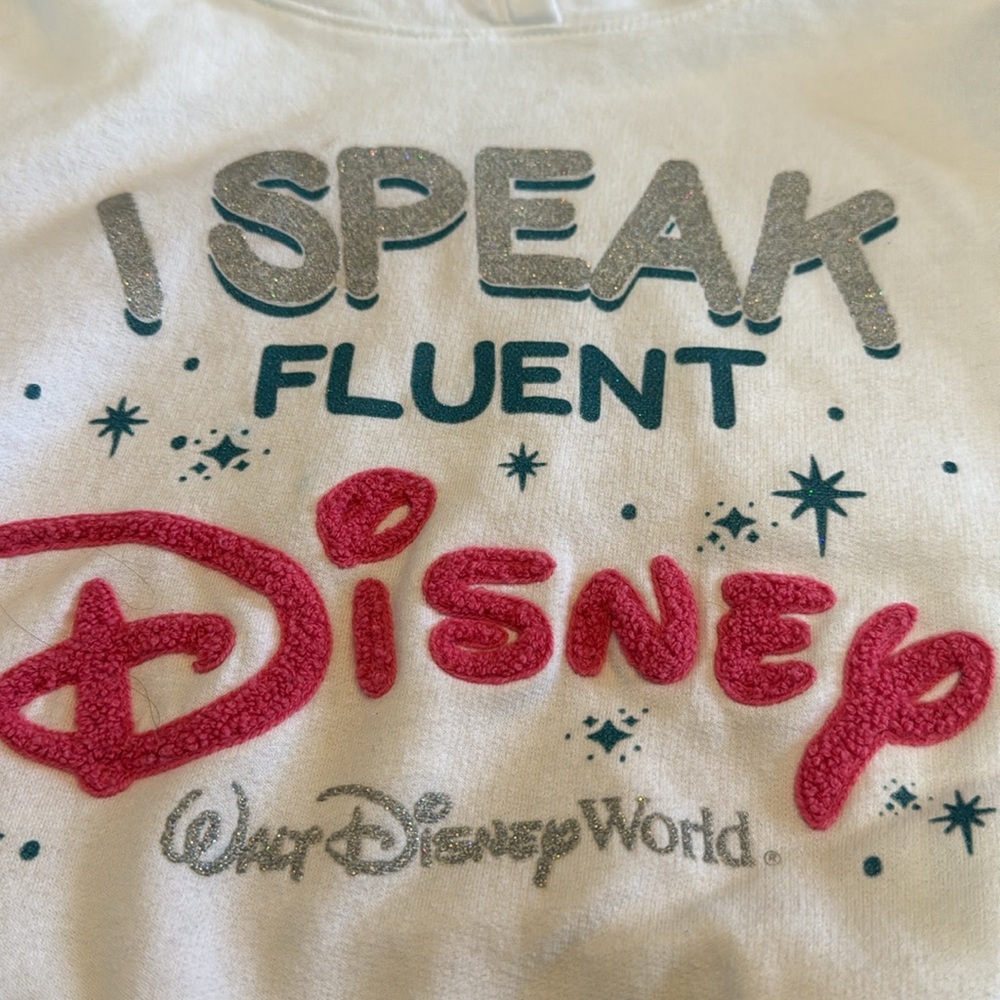 Disney Parks hoodie sweatshirt Walt Disney World